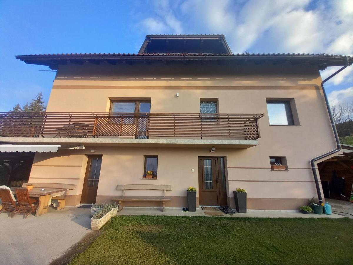 Apartment Panorama Zrece Exterior photo