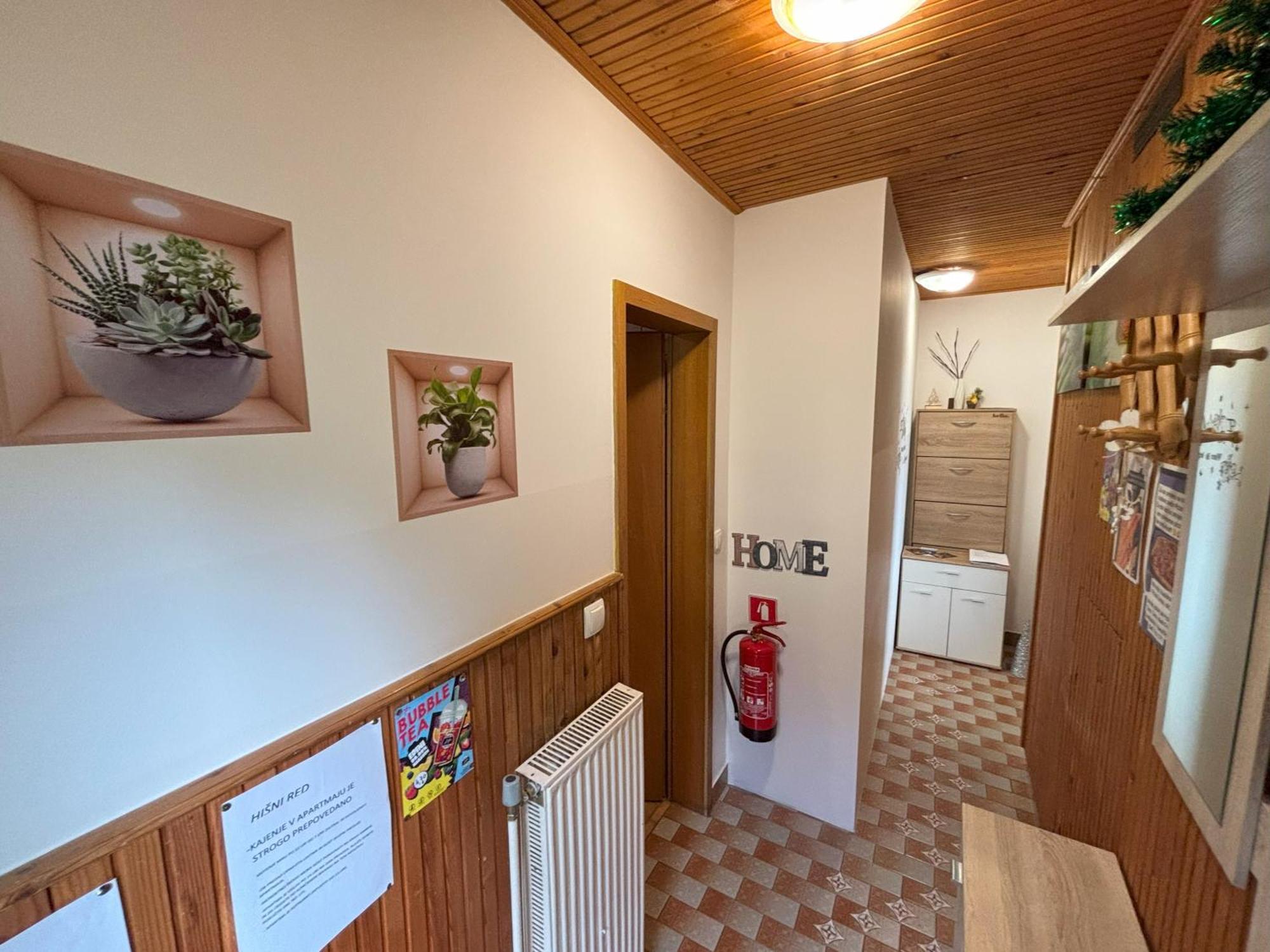 Apartment Panorama Zrece Exterior photo